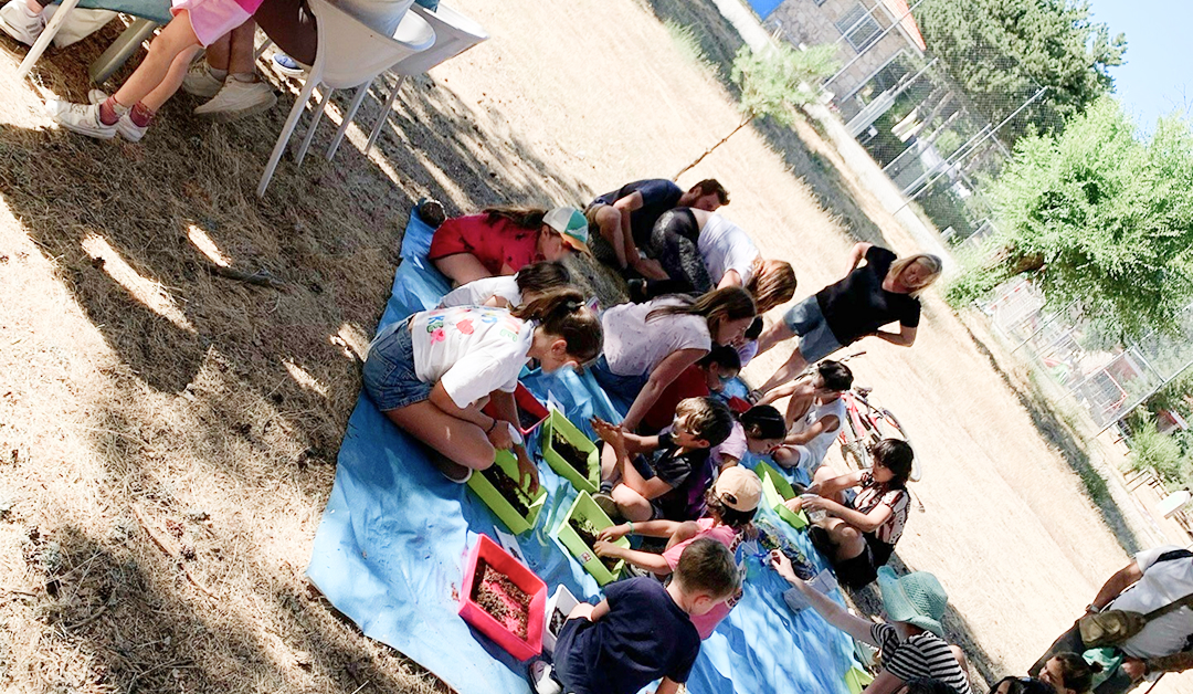 Inicio Campamento